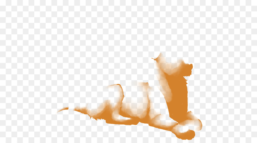 сиамская кошка，абиссинская PNG