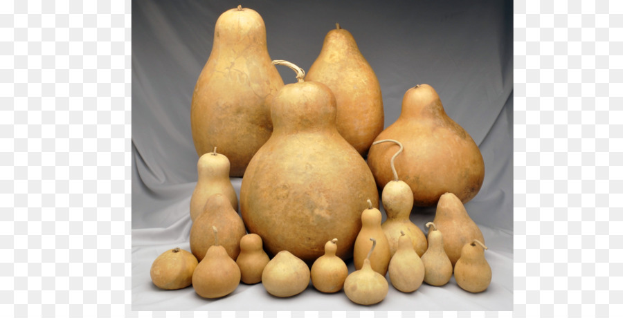 Gourd，Mate PNG