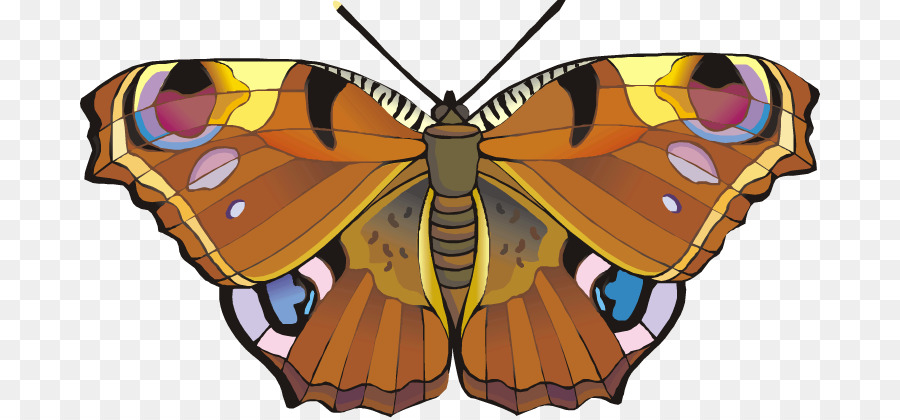 бабочка монарх，мотылек PNG