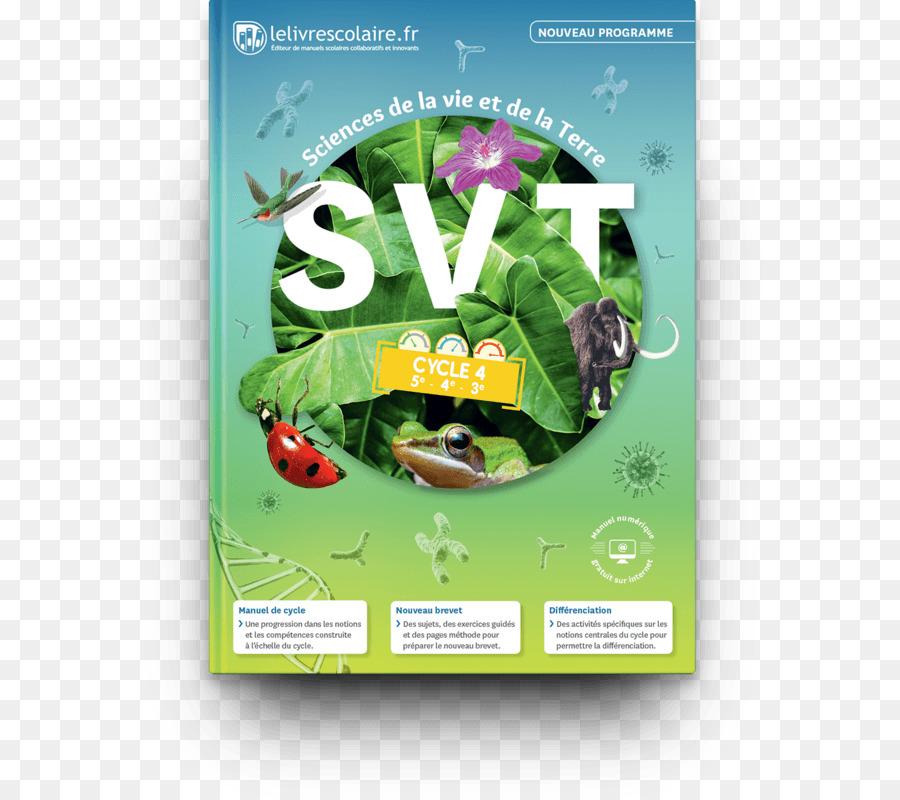 Svt цикла 4，Lelivrescolairefr PNG