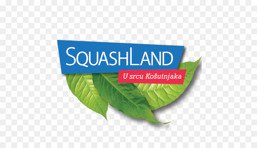 Squashland，сквош PNG