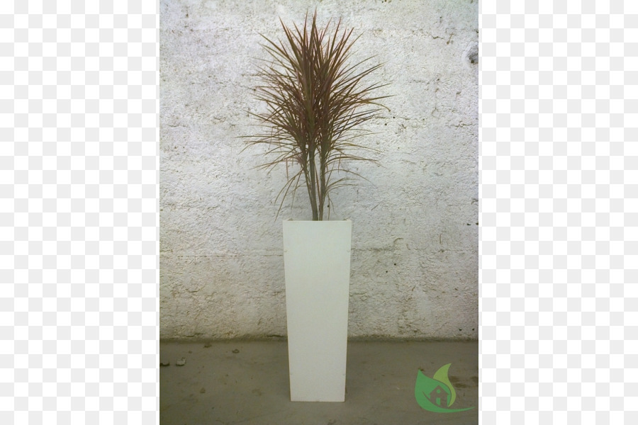 травы，ваза PNG