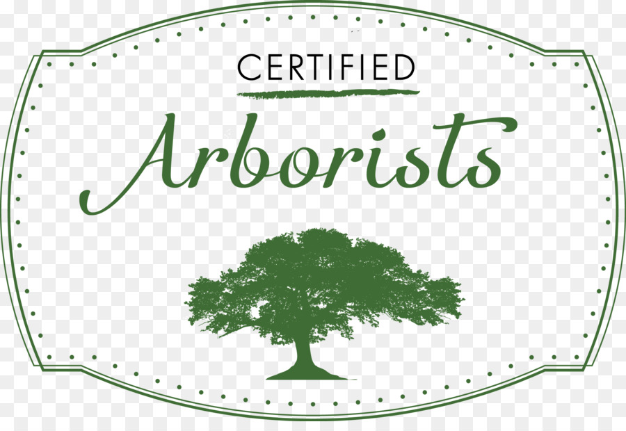 дерево，сертифицированный лесоводу PNG