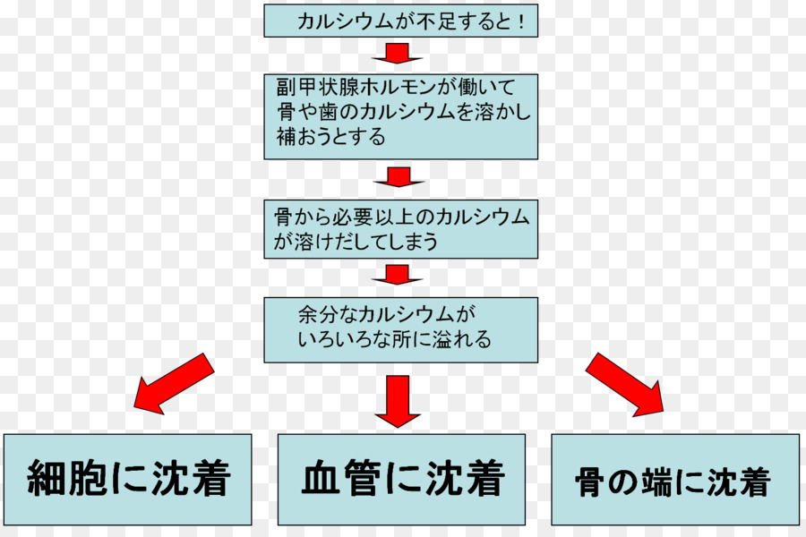 カルシウム・パラドックス，акционерного общества PNG