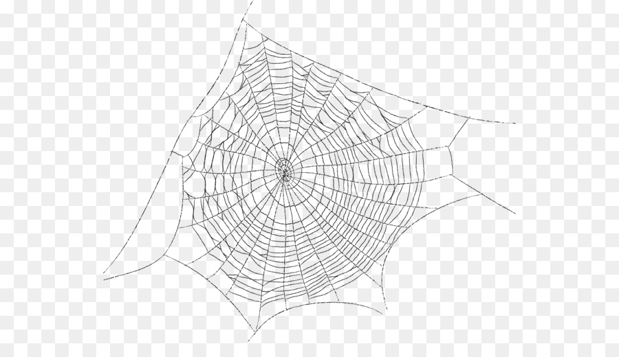 Паутина человека паука без паука. Паутина. Паутина рисунок. Паутинка текстура. Паутина черно белая.