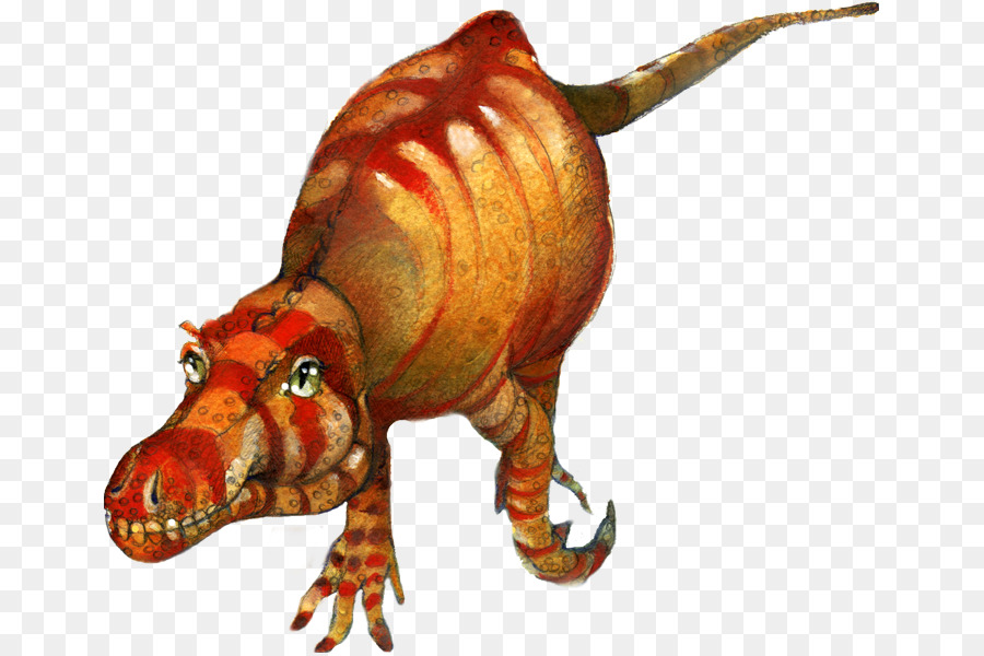 тираннозавр，музей естественной истории PNG