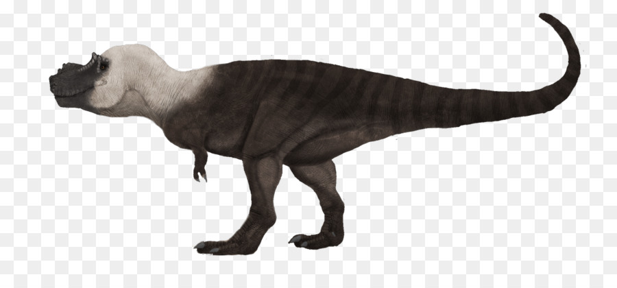 тираннозавр，велоцираптор PNG