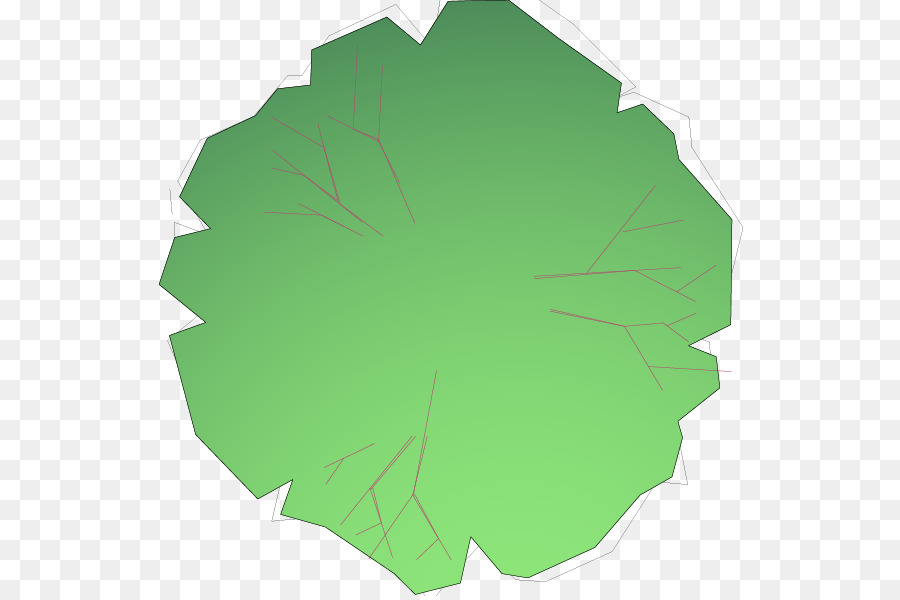 лист，дерево PNG