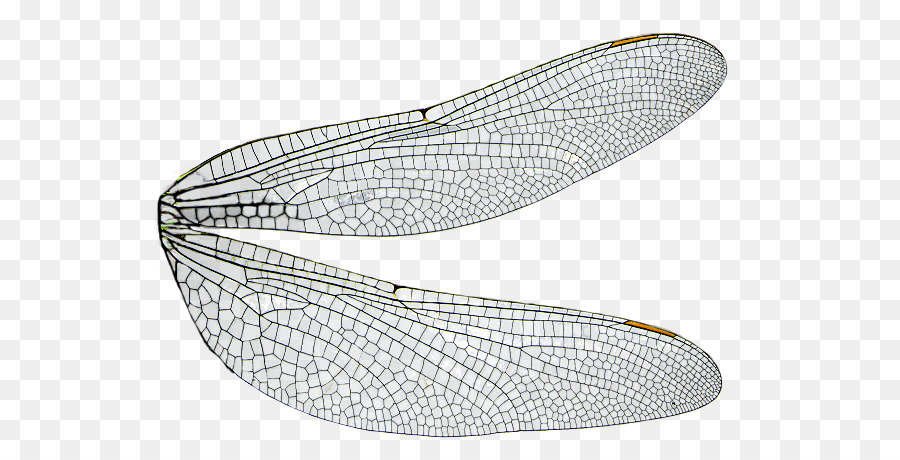 Крылья стрекозы рисунок шаблон