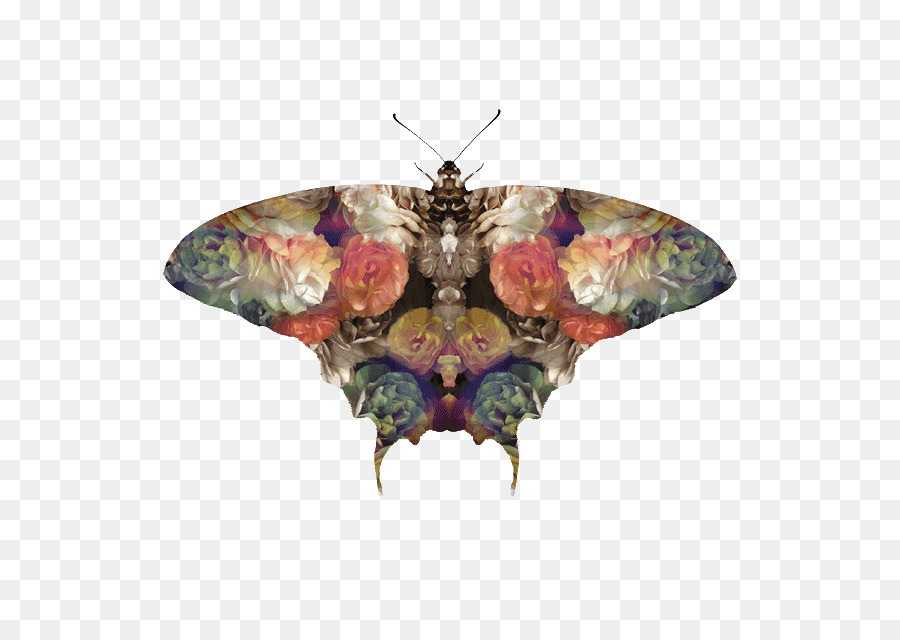 мотылек，мотыльки и бабочки PNG