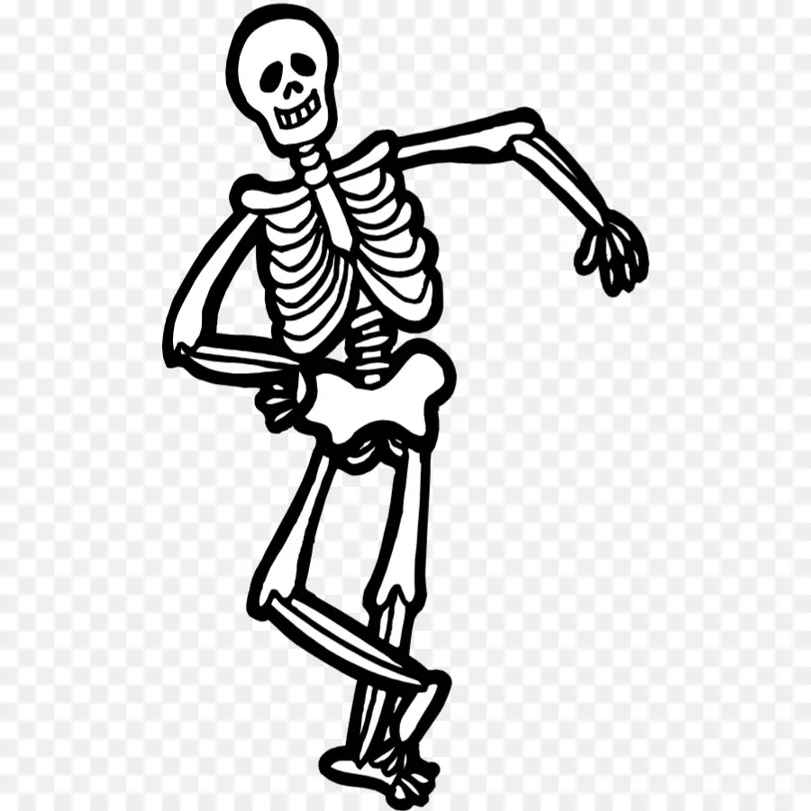 скелет человека，рисунок PNG