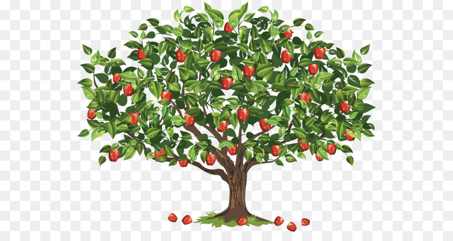 Знак фруктовые сады. Фруктовые деревья. Яблоня дерево. Яблоня на белом фоне. Яблоки на дереве.
