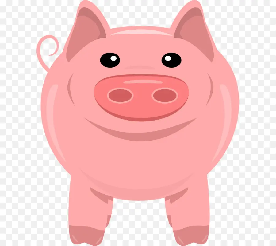 свинья，домашняя свинья PNG