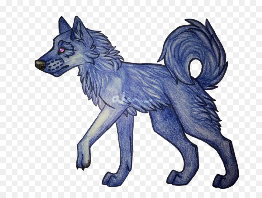 серый волк，рисунок PNG