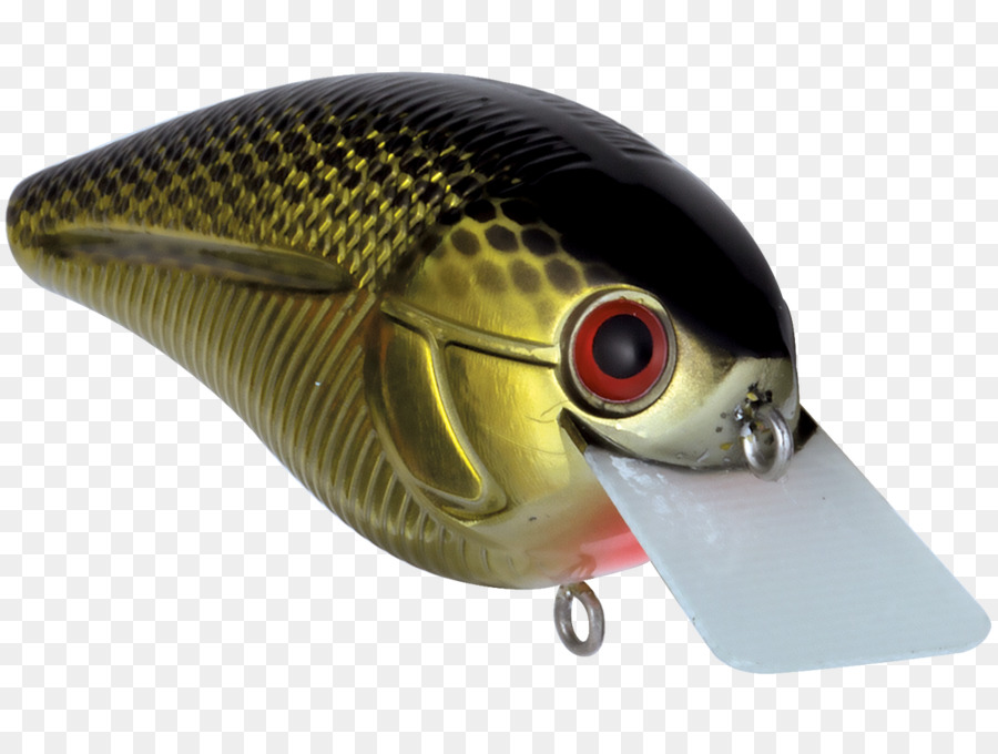 рыбы，Ливингстон приманки PNG