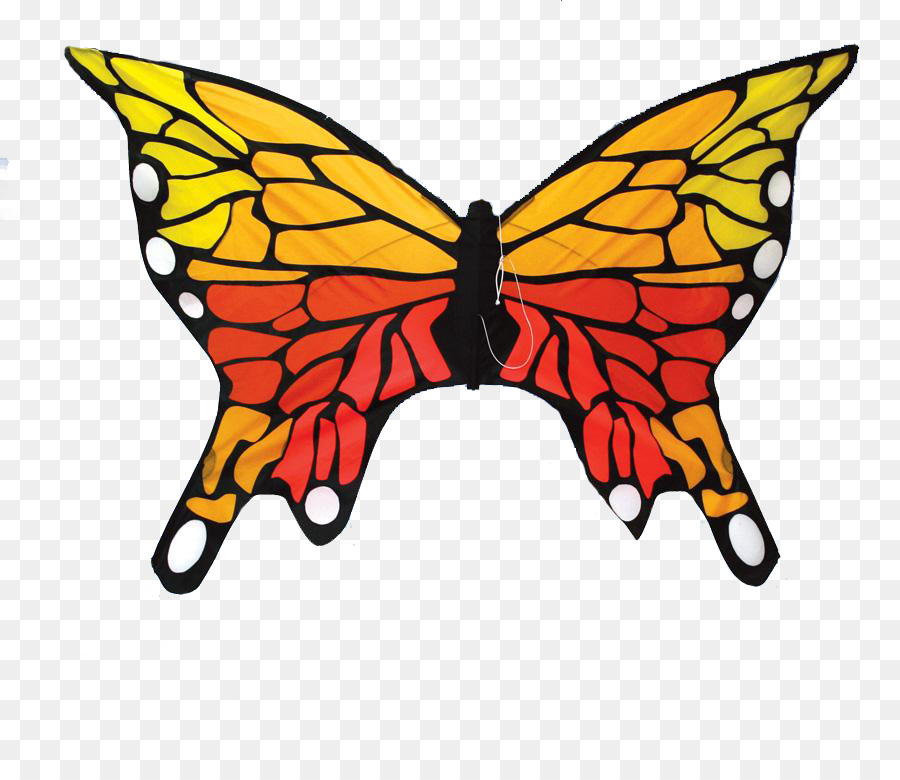 бабочка монарх，16257 PNG