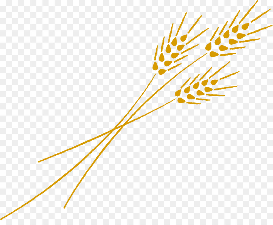 ムギ，пшеницы PNG