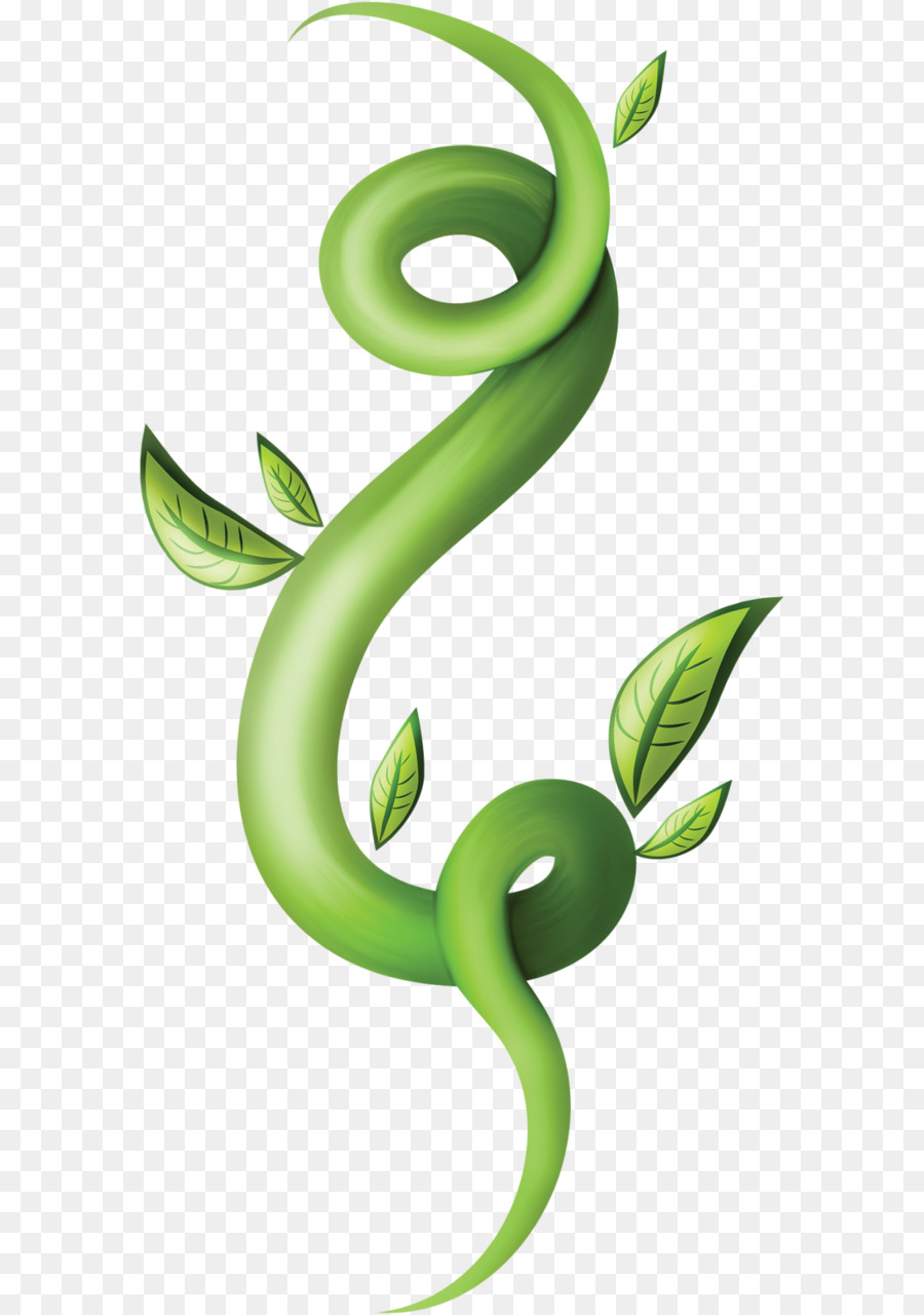 зеленый，стебель растения PNG