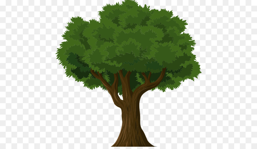 дерево，обучение PNG