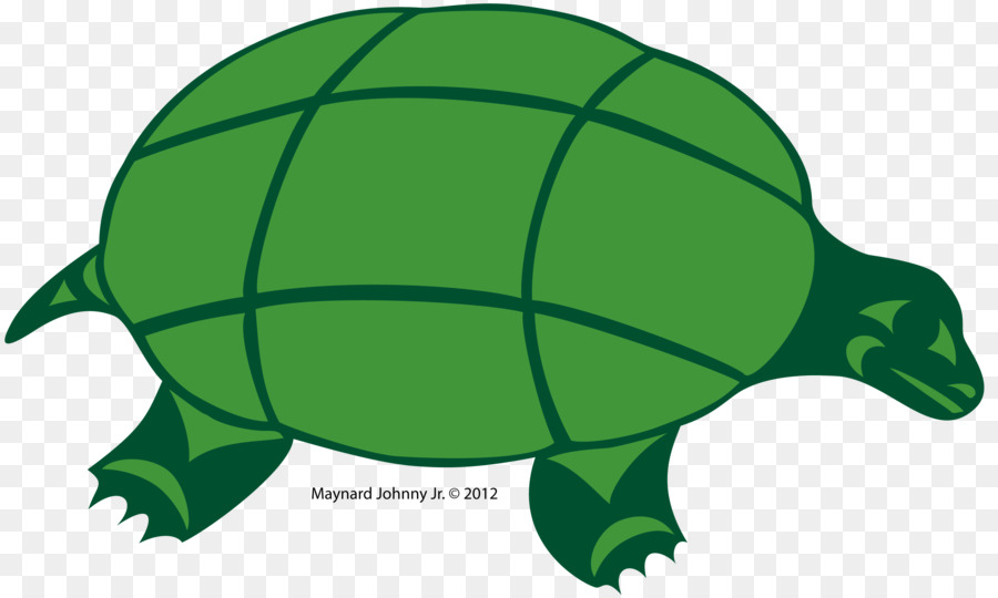 Tortoise，черепаха PNG