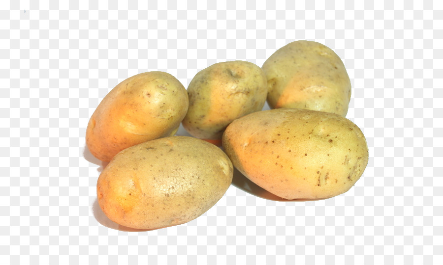 рассет бербанк картофеля，Юкон золотой картофель PNG