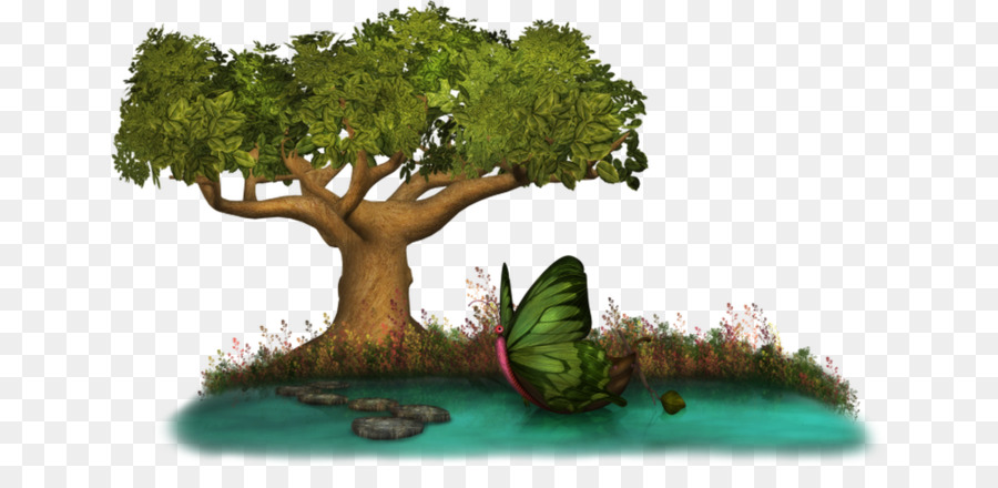дерево，акварельная живопись PNG