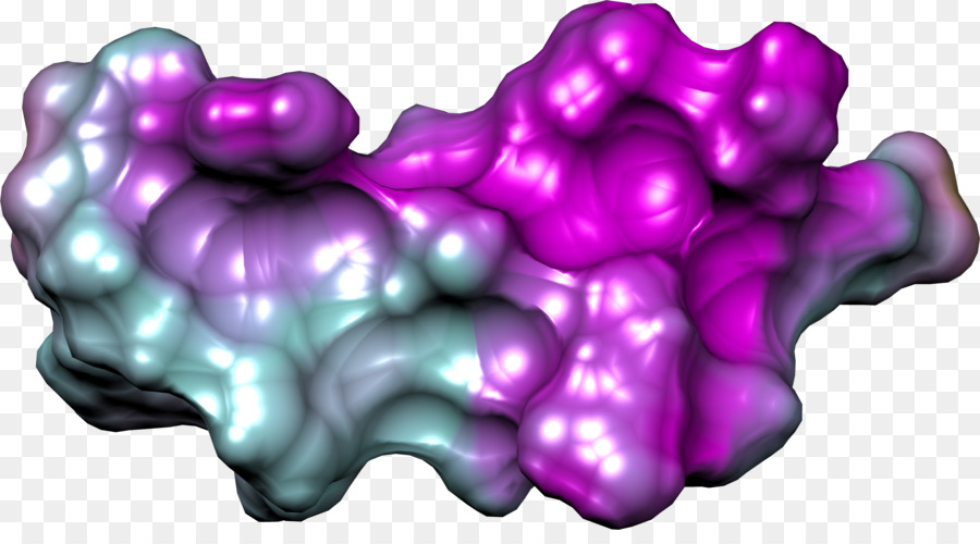 организм，фиолетовый PNG