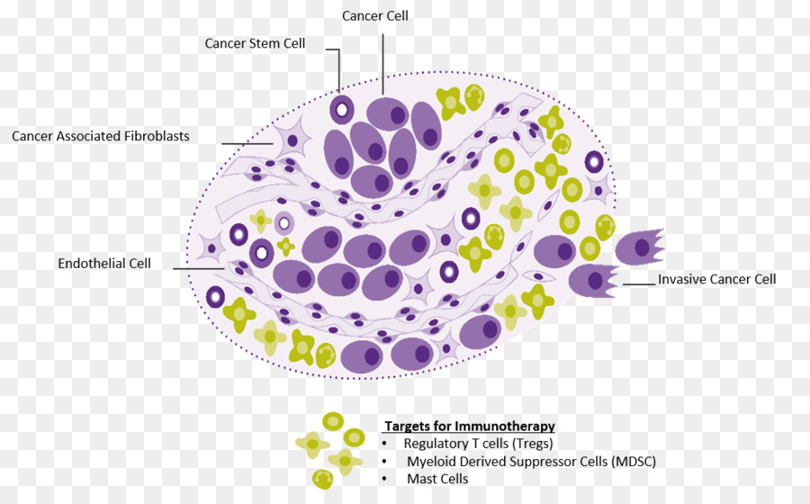 Basalcell карциномы，рак PNG