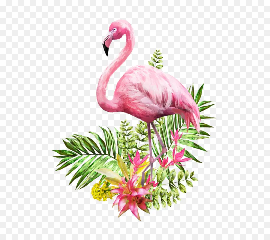 фламинго，акварельная живопись PNG