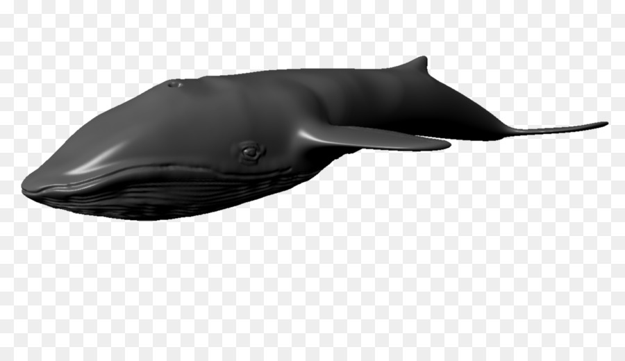 Дельфин，китообразных PNG