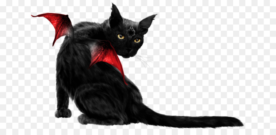 бомбейская кошка，черный кот PNG