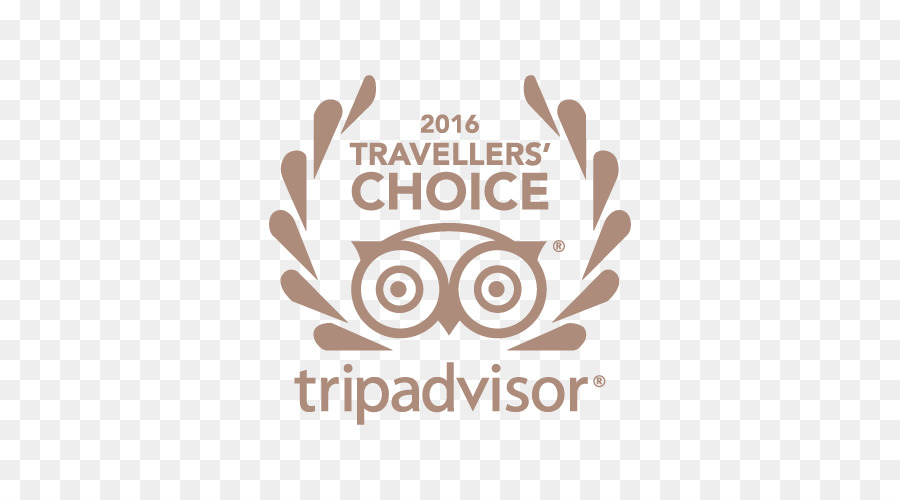 Travel choice. TRIPADVISOR travellers choice 2021. Награда travellers' choice. Travellers choice TRIPADVISOR 2020. TRIPADVISOR travellers' choice.