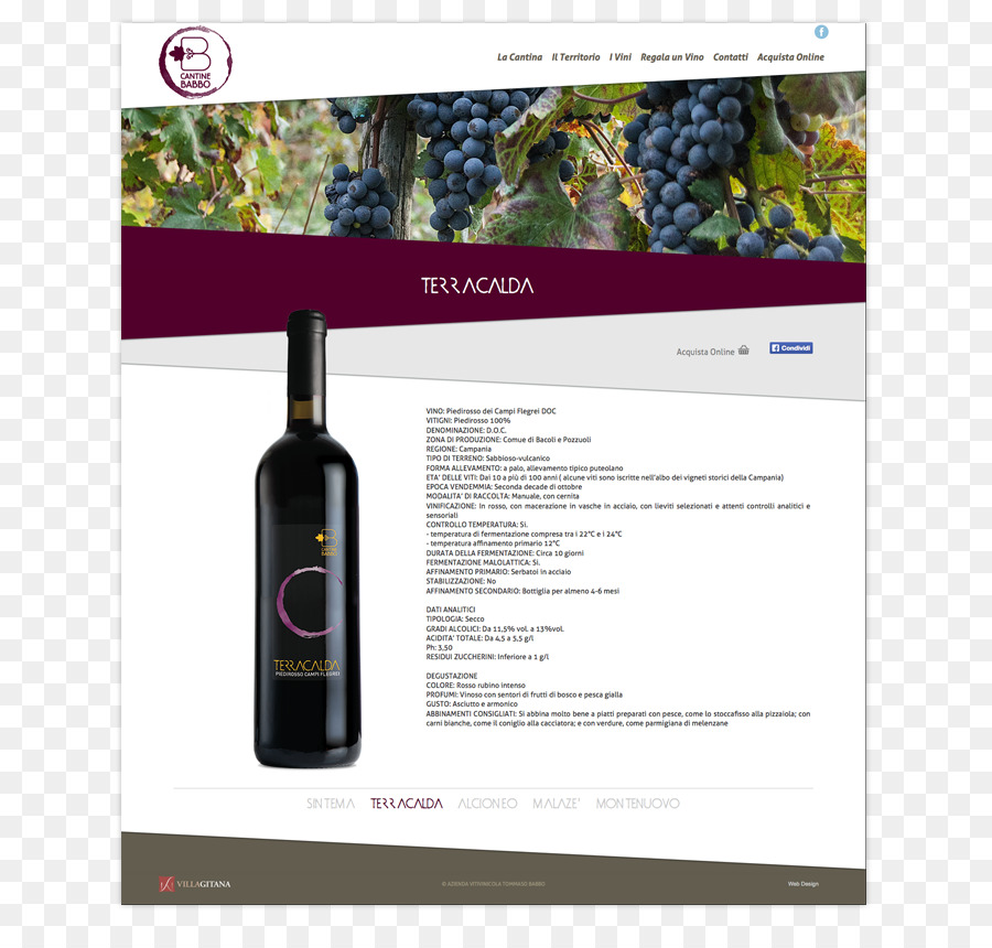 отзывчивый веб дизайн，вина PNG