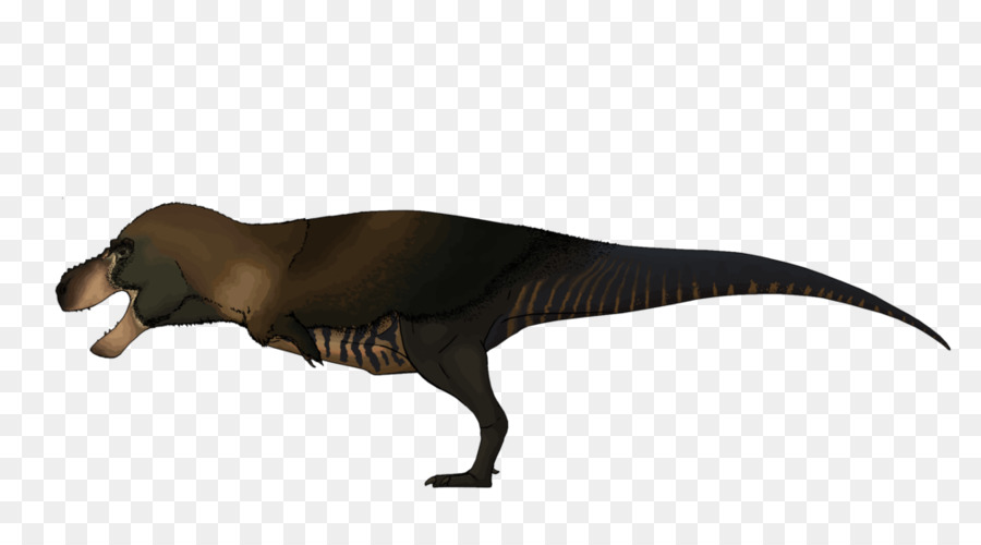 тираннозавр，фауна PNG