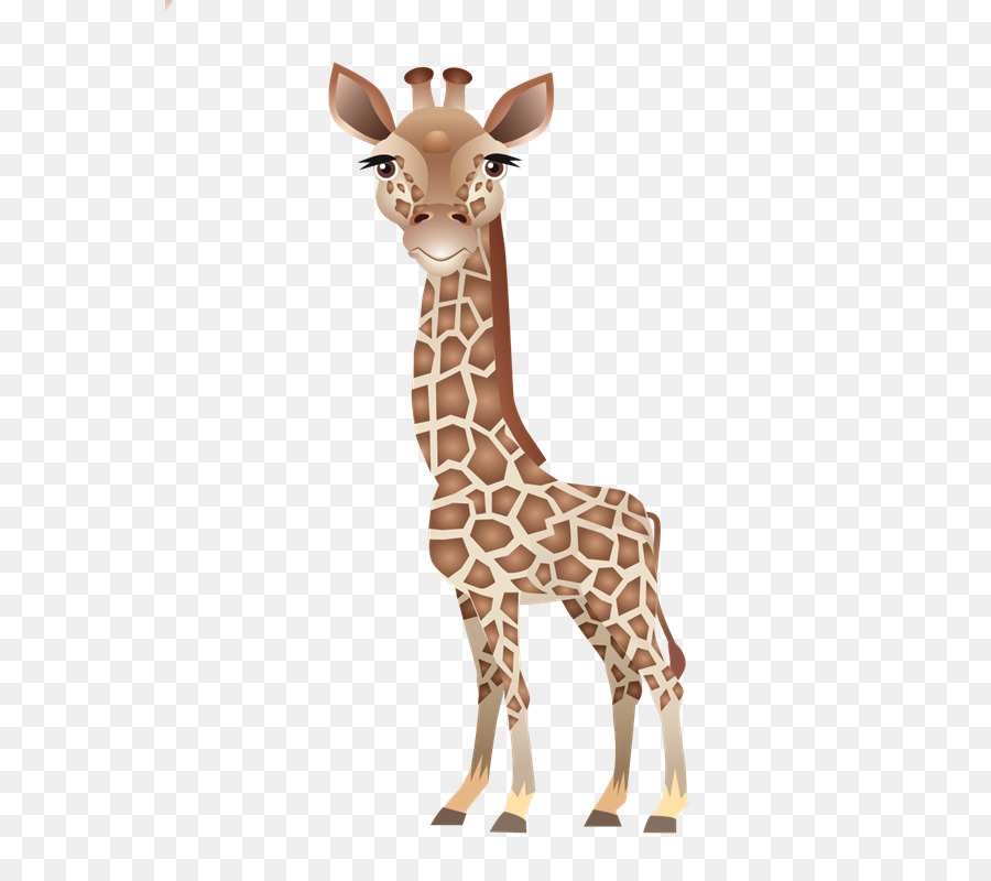 ребенка жираф，леопард PNG