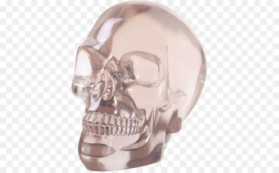 череп，хрустального черепа PNG