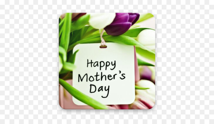 День Матери，мать PNG