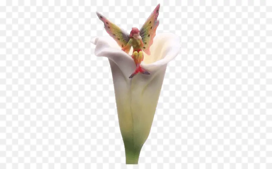 Arumlily，пасхальные лилии PNG