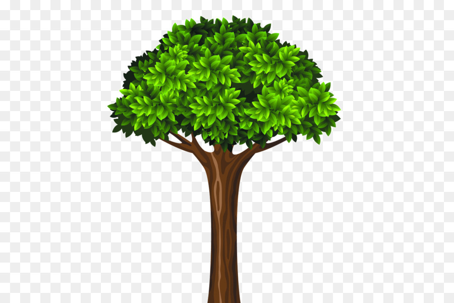 дерево，багажник PNG