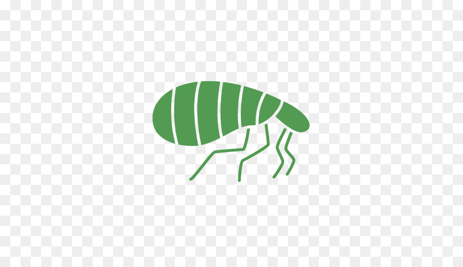 насекомое，зеленый PNG