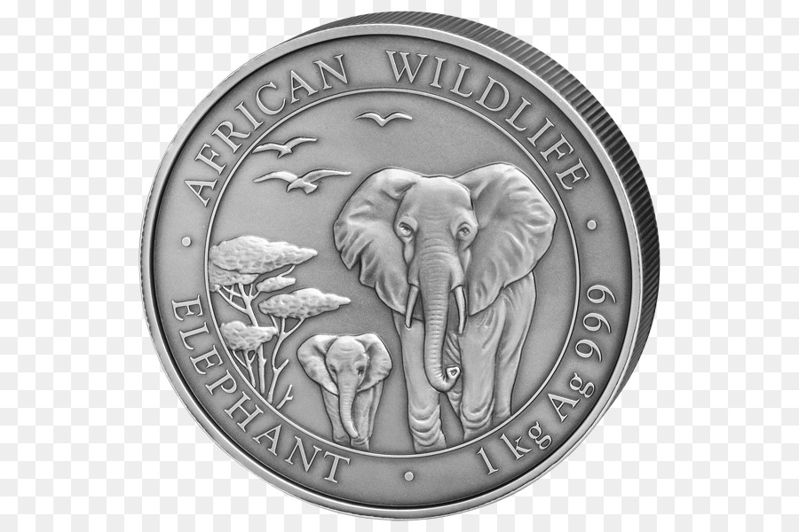 монета，африканский слон PNG