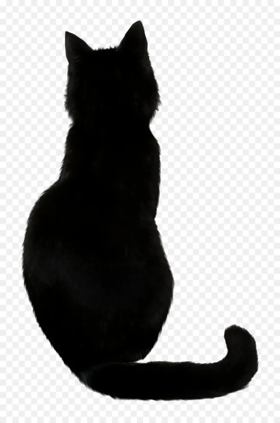 Черная кошка，Кот PNG