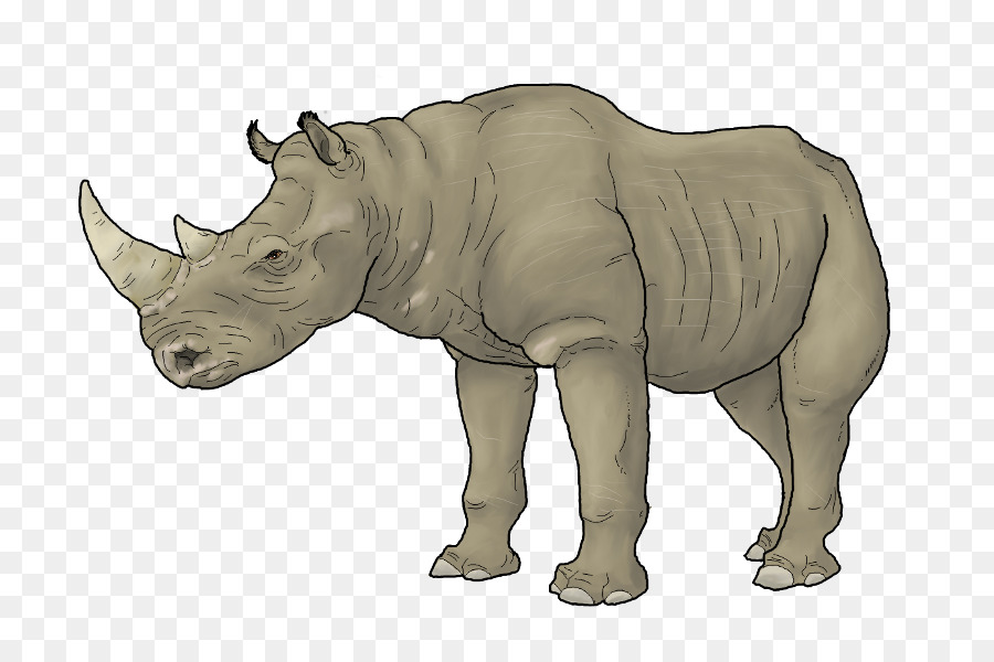 Rhinoceros，животное PNG