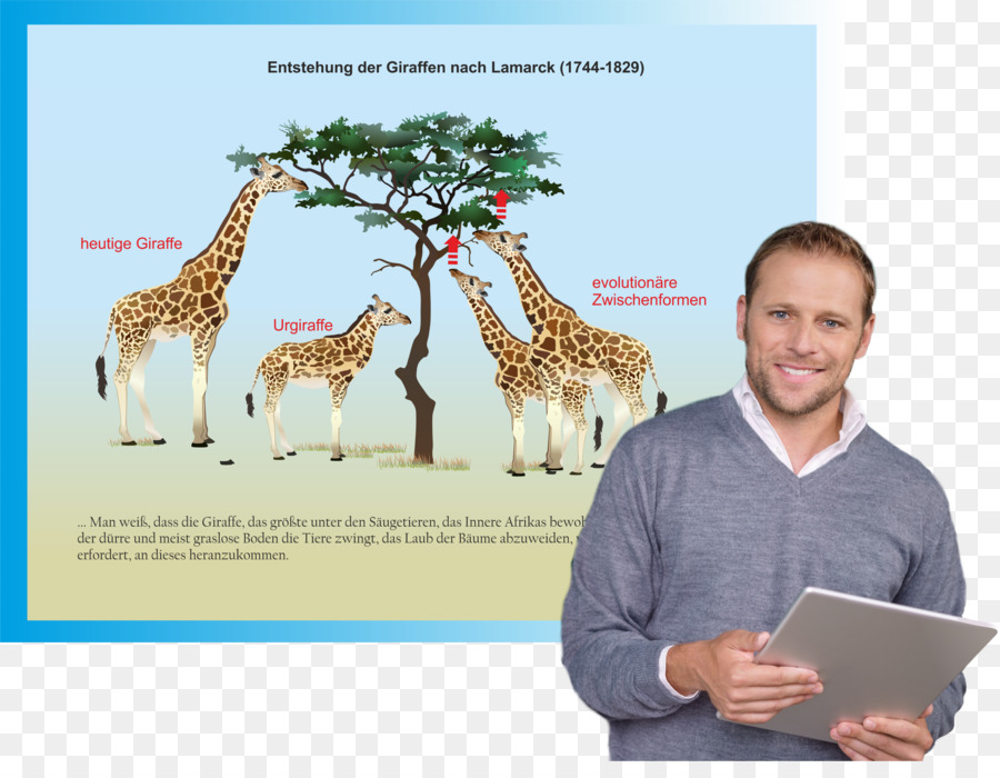 жираф，обучение программное обеспечение PNG