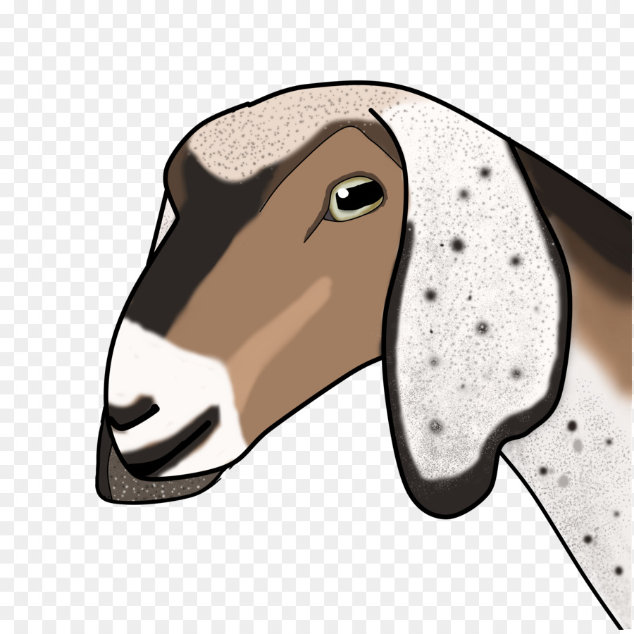 лошадь，крупный рогатый скот PNG