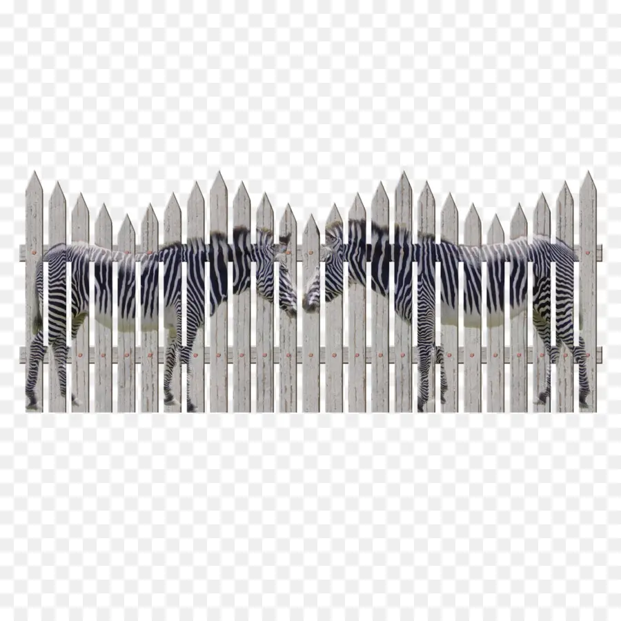 Picket Fence，забор PNG