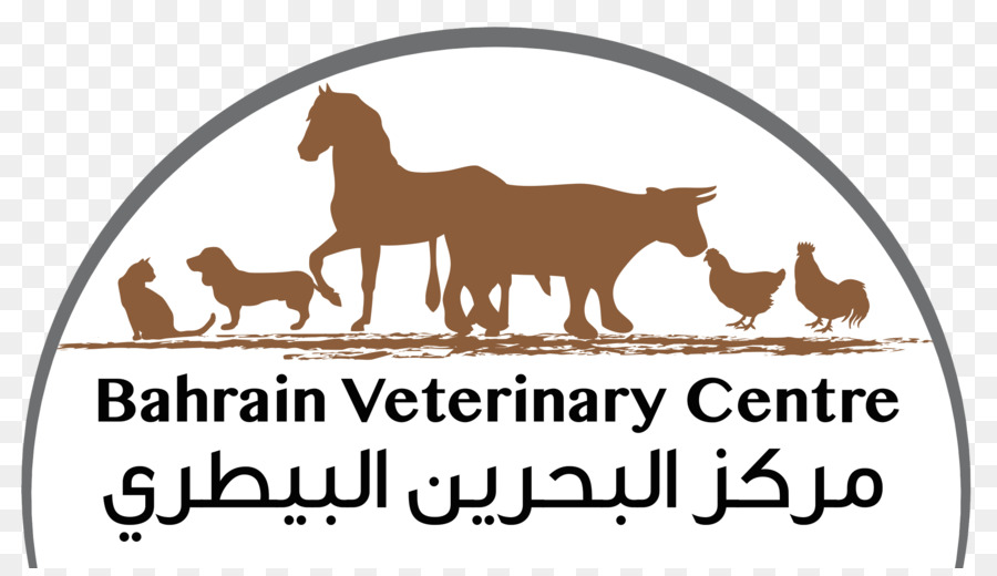 собака，ветеринарный центр Бахрейна PNG