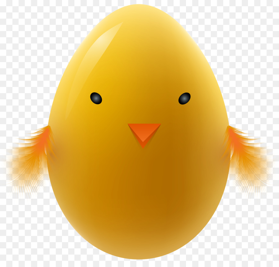 яйцо，Плимут рок куриный PNG