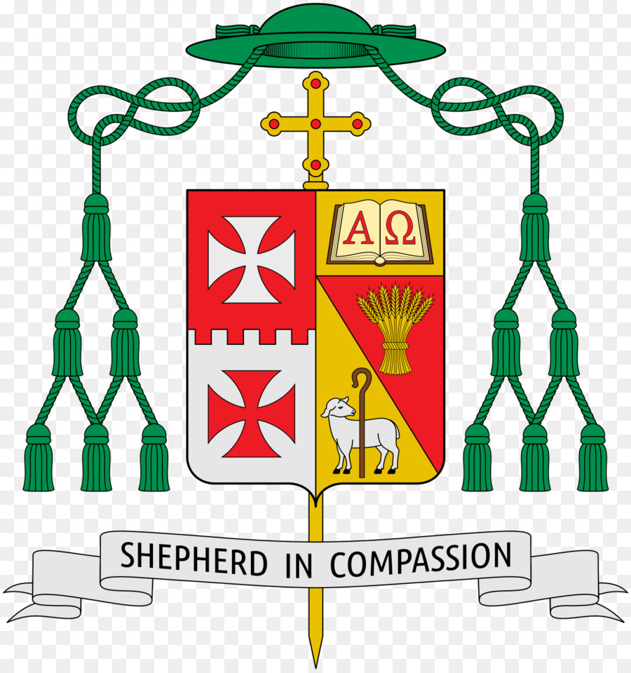 в Википедии，Римско католическая епархия воллонгонг PNG