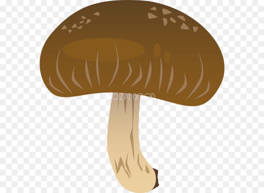 шляпа，гриб PNG